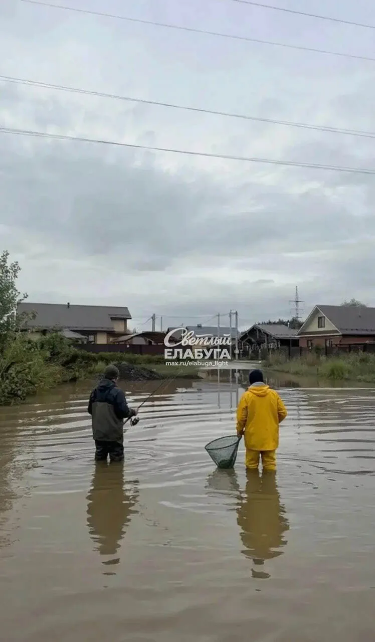 🌊 В Лесной Поляне появилась роскошная лужа-озеро