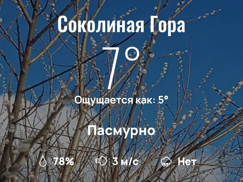 Что с погодой в районе Соколиной Горы?
