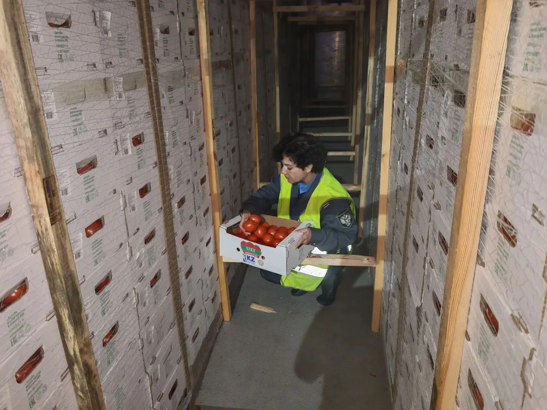 Ввоз более 400 тонн свежей плодоовощной продукции проконтролировал Россельхознадзор в К...