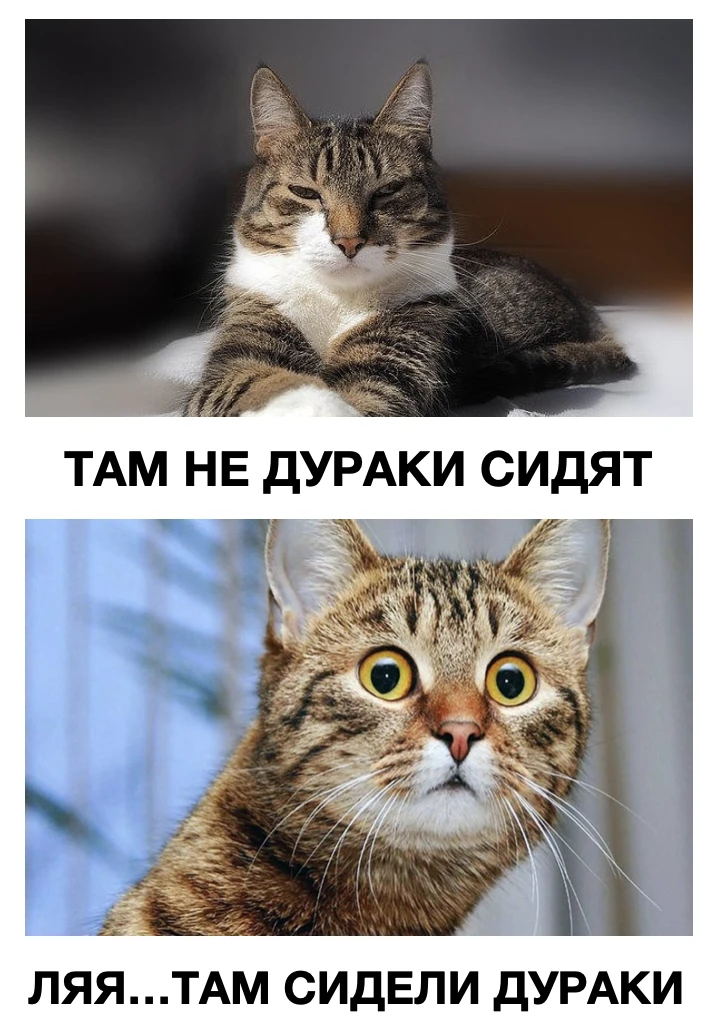 Главные проблемы инвестобучения и изменение контента