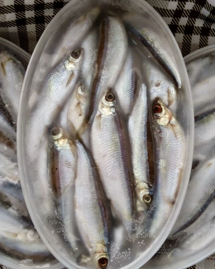 🔥 НОВОЕ ПОСТУПЛЕНИЕ 🔥 

🐟 Тугунок (вылов июль) — 1500 ₽/0,5 кг 

🍄‍🟫 Грузди соленые — 1800 ₽/1 