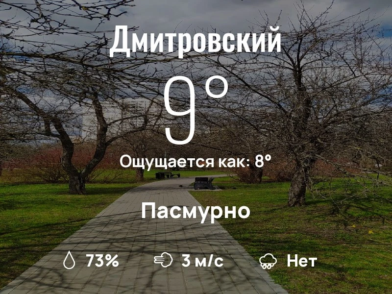 Что с погодой в Дмитровском?