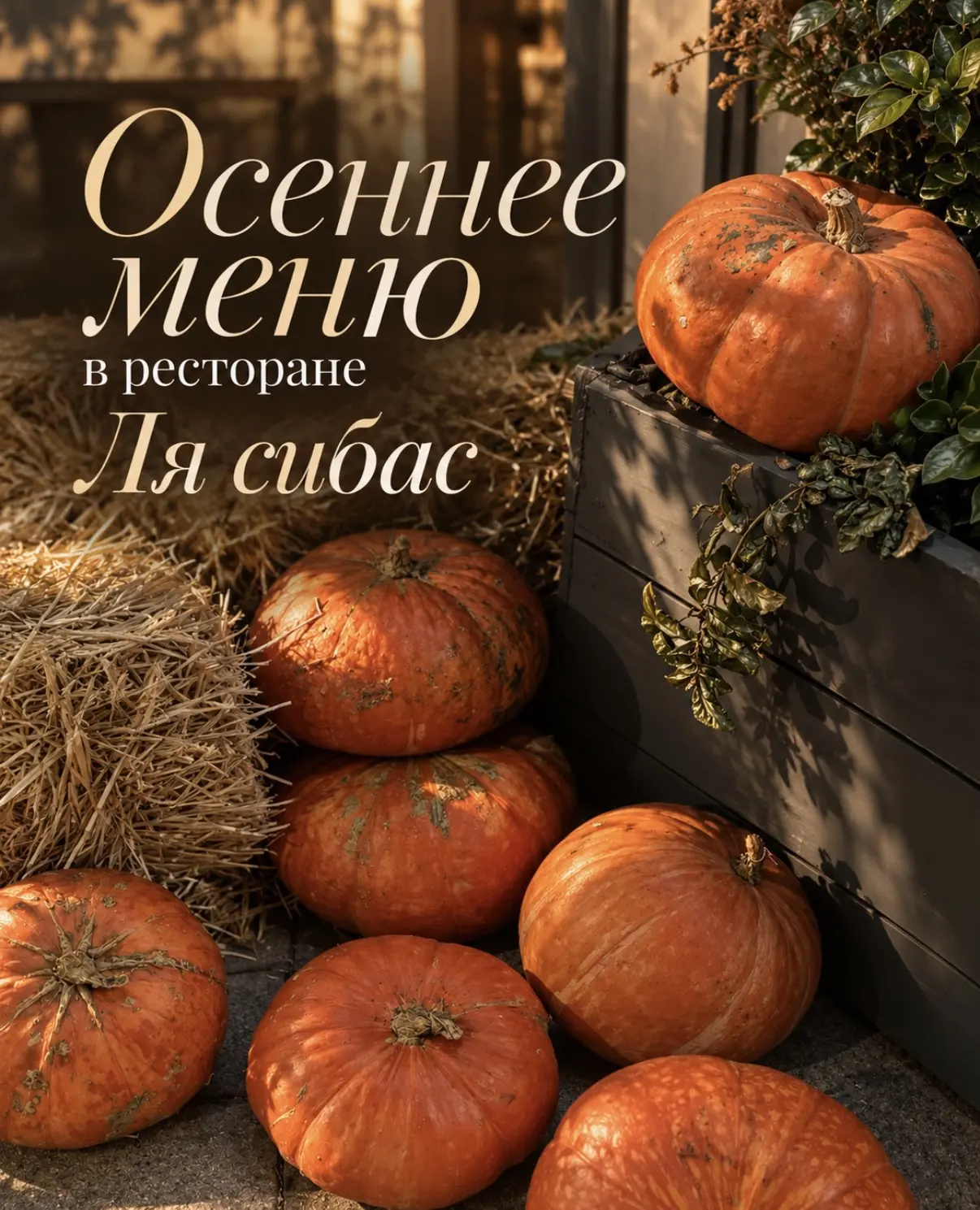 У осени у моря свой вкус