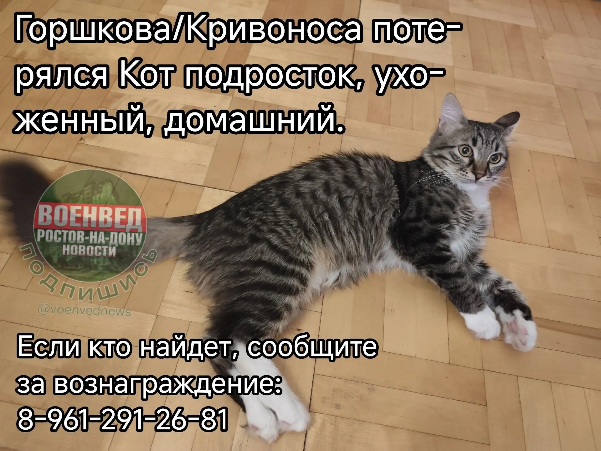 Помогите, соседи🙏