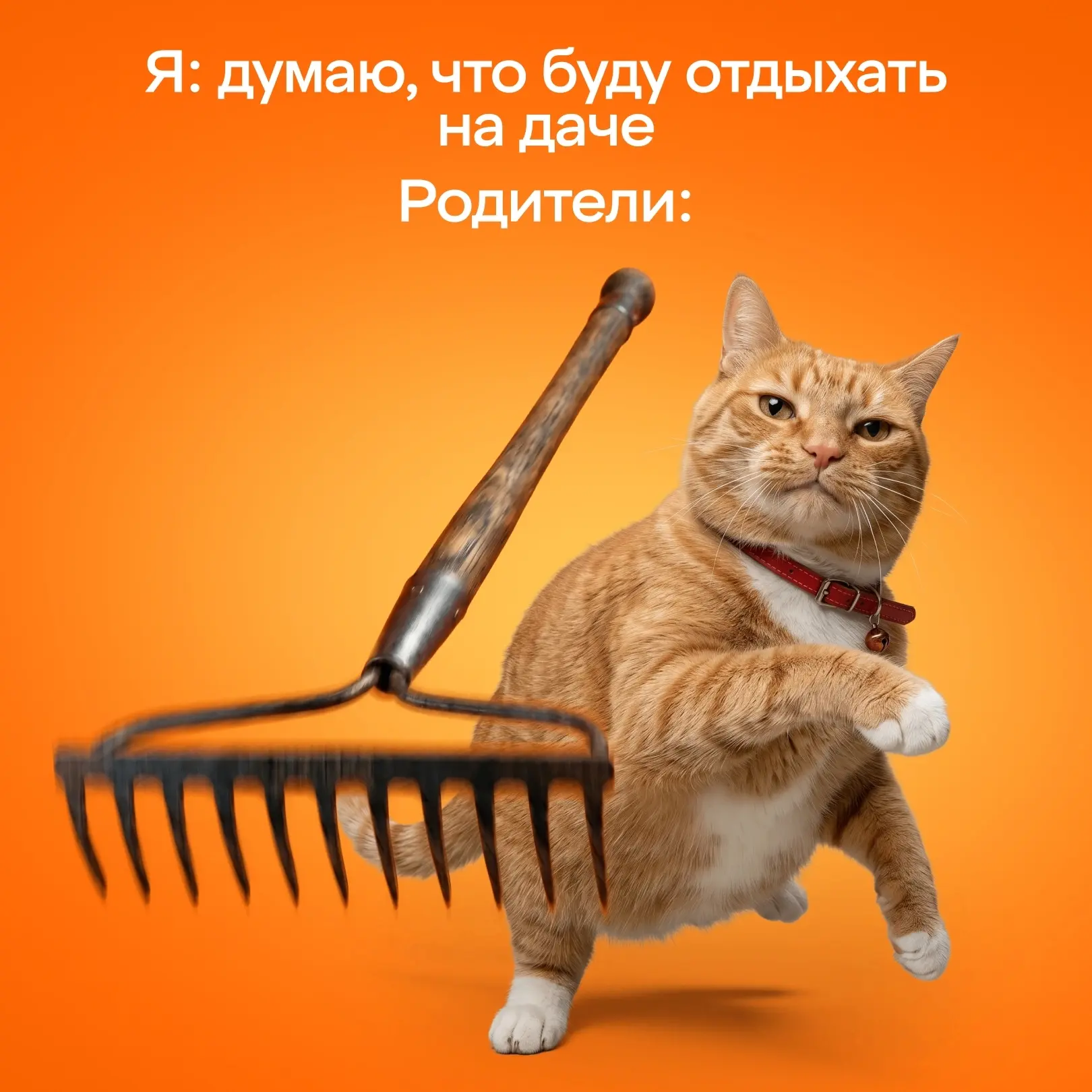 Привет! На связи команда Апельсин. 

В самый разгар дачного сезона решили устроить перекличку!

❤️ —