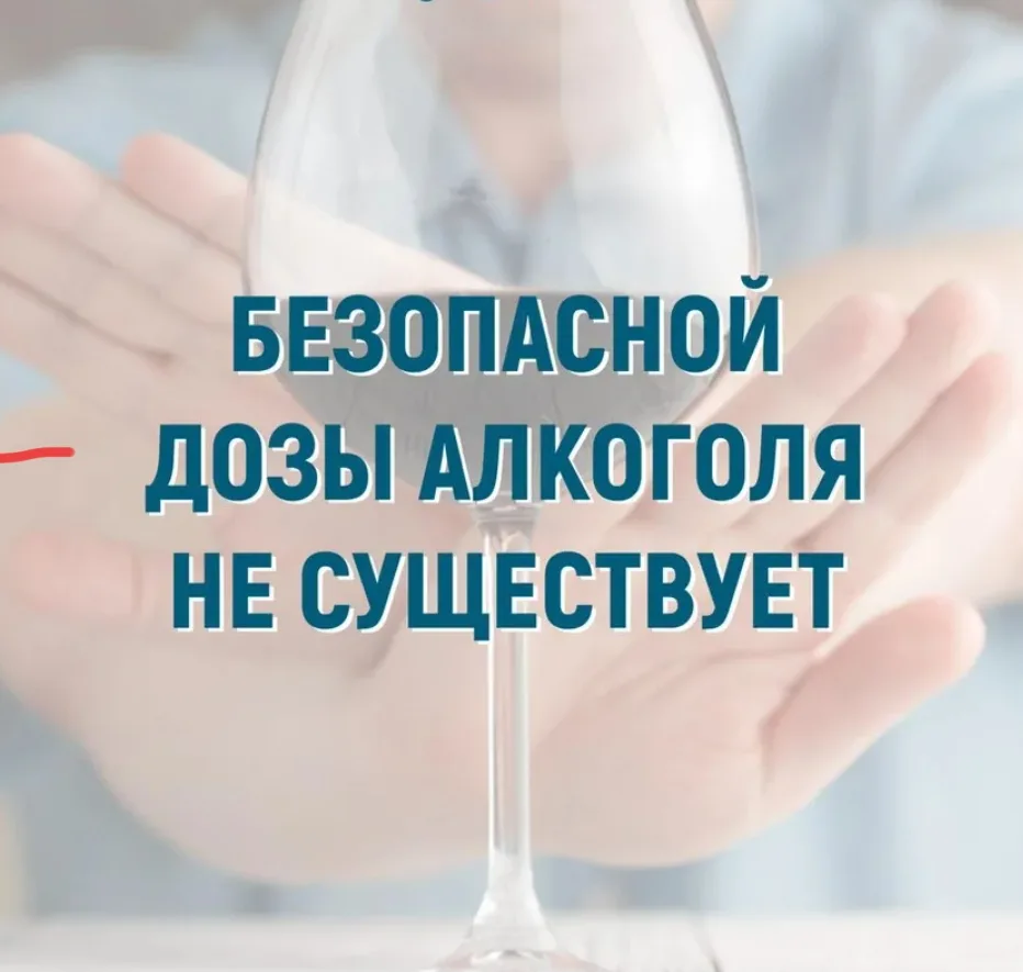 Как алкоголь вредит организму? 🚫🍻