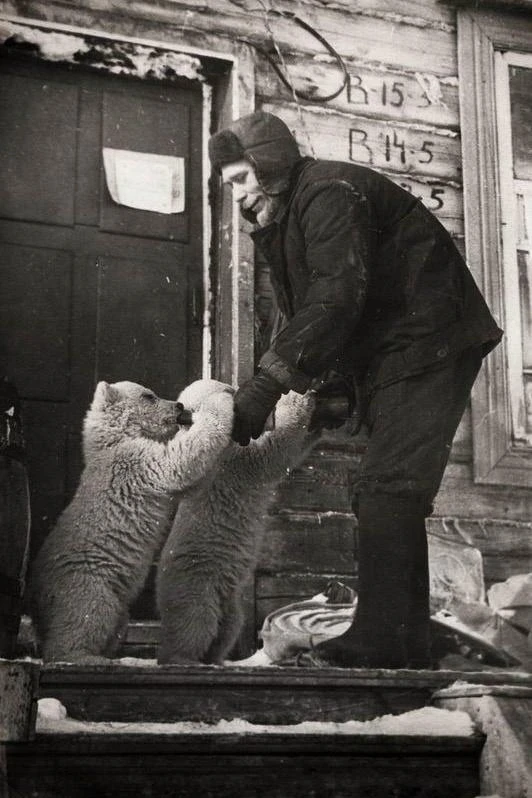 Сотрудник метеостанции кормит медвежат. Новая Земля, 1970 год