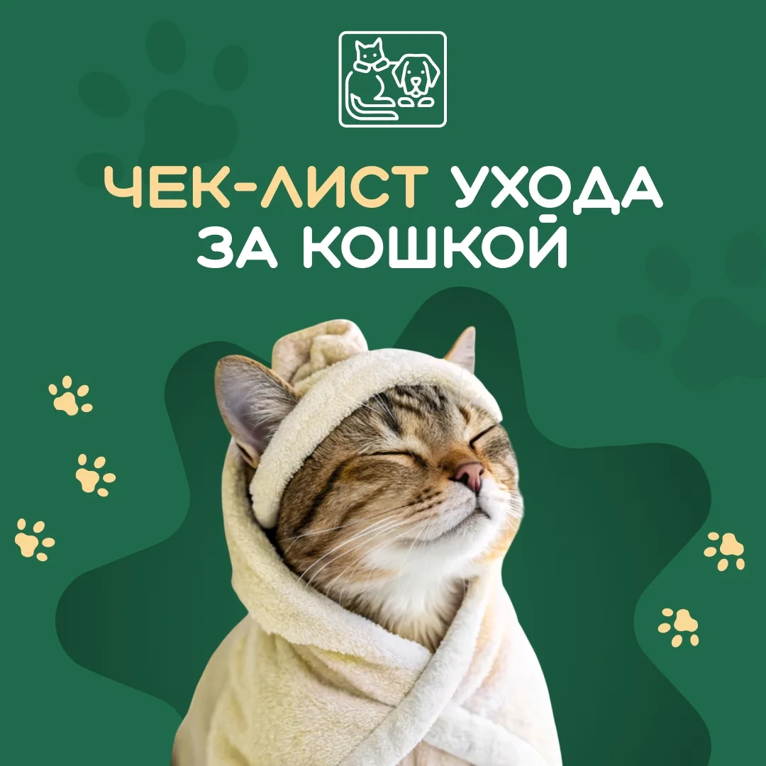 Завели пушистого друга и хотите, чтобы ему было с вами по настоящему комфортно, или про...