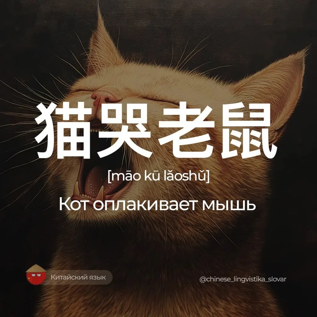 Кот оплакивает мышь — 猫哭老鼠 [мао ку лаошу]

✍️ Используется, когда кто-то выражает притворное сочувст