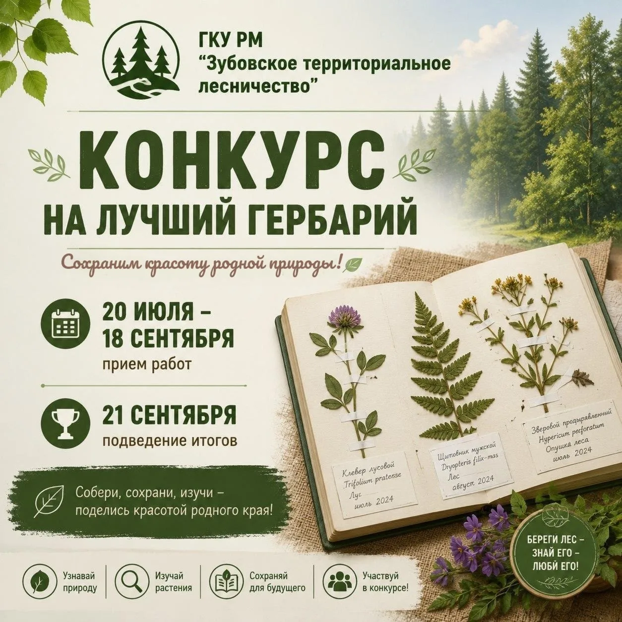 🌲 Лес — это не просто деревья, это целая вселенная! 🌌
Друзья, приближается День леса, и коллектив 