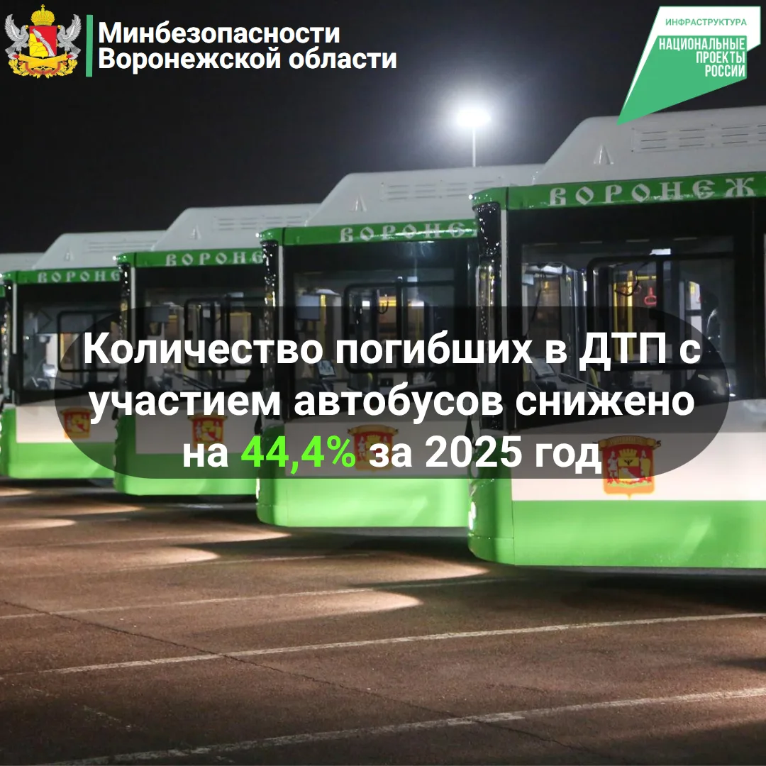 Результаты обеспечения безопасности дорожного движения в Воронежской области за 2025 год в рамках на