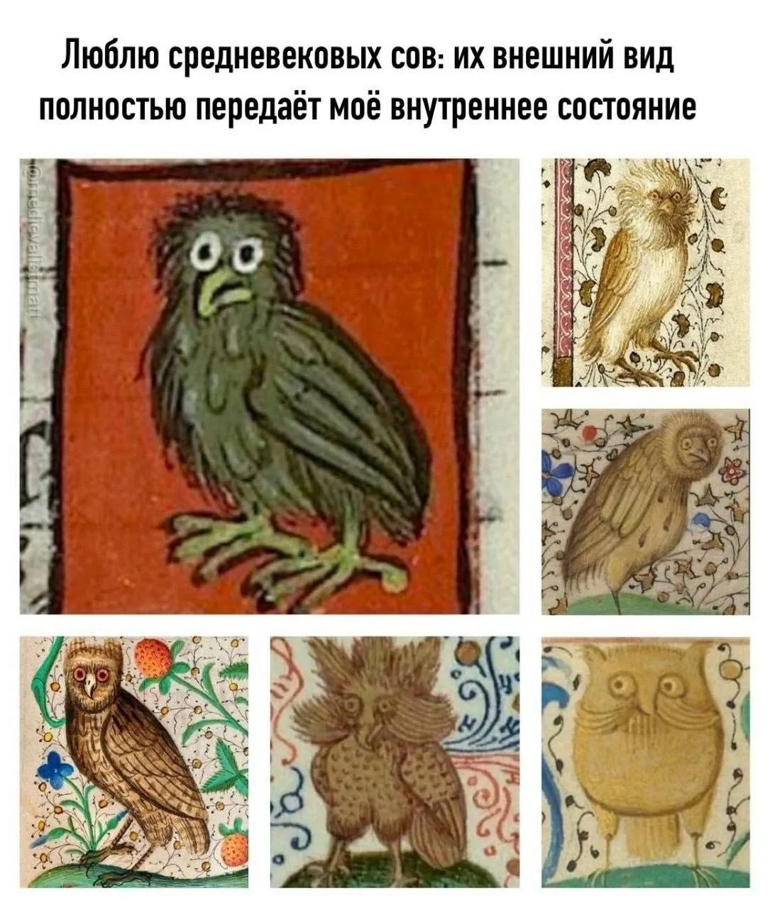 Изображение 1 к публикации «ЮЛИЯ МЕНЬШОВА»