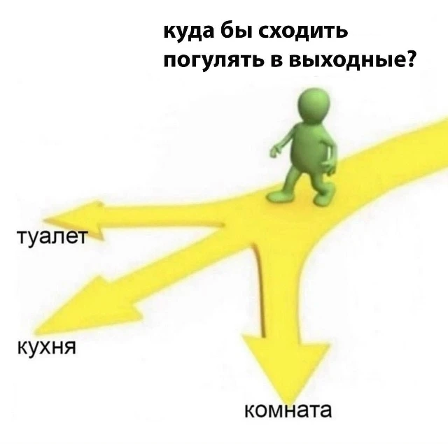 Утренний чат 💭 Сегодня дождь, поэтому без вариантов😄