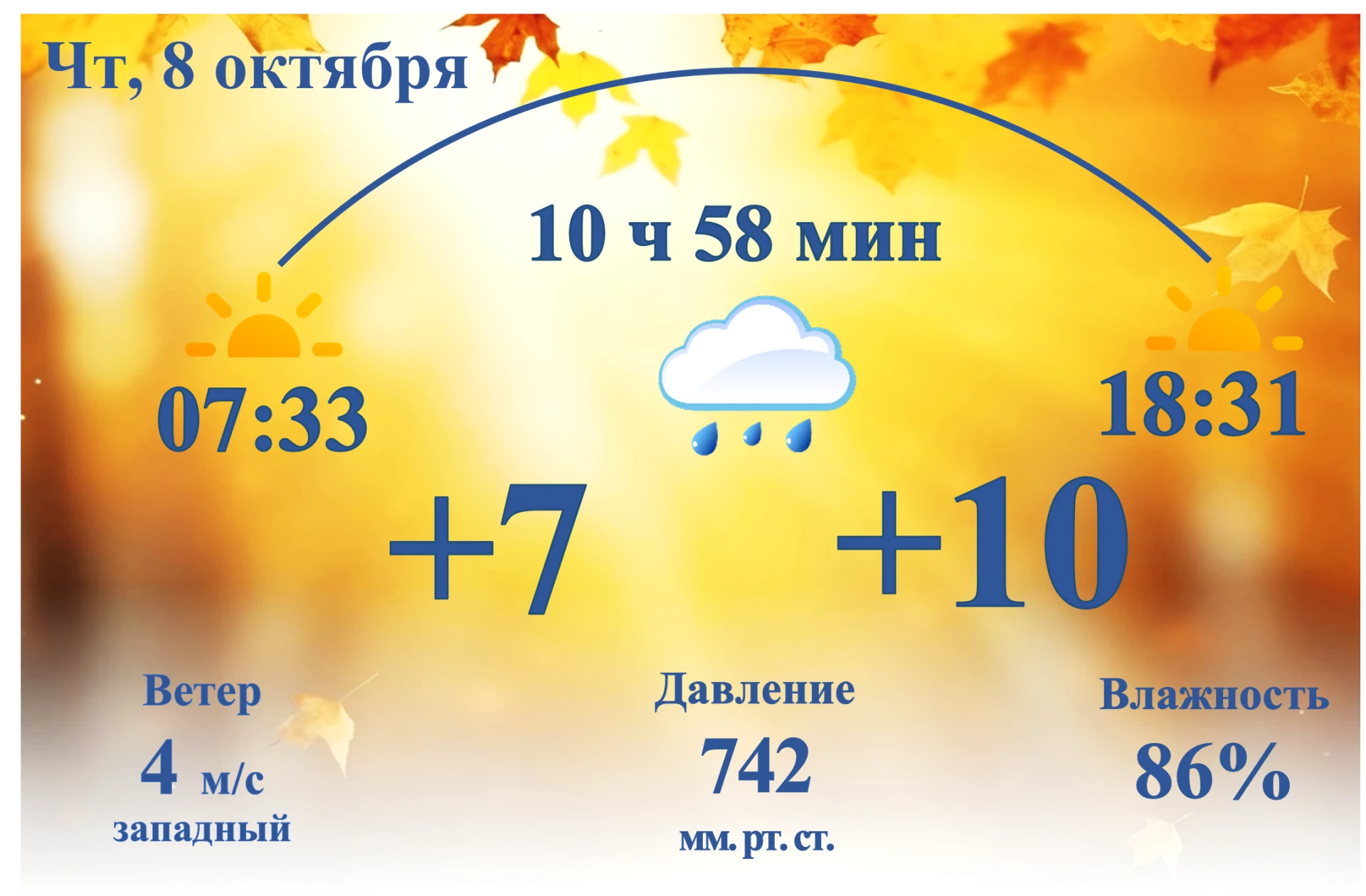 🌞 Пусть все неудачные дни опадают вместе с осенними листьями.Доброго утра!