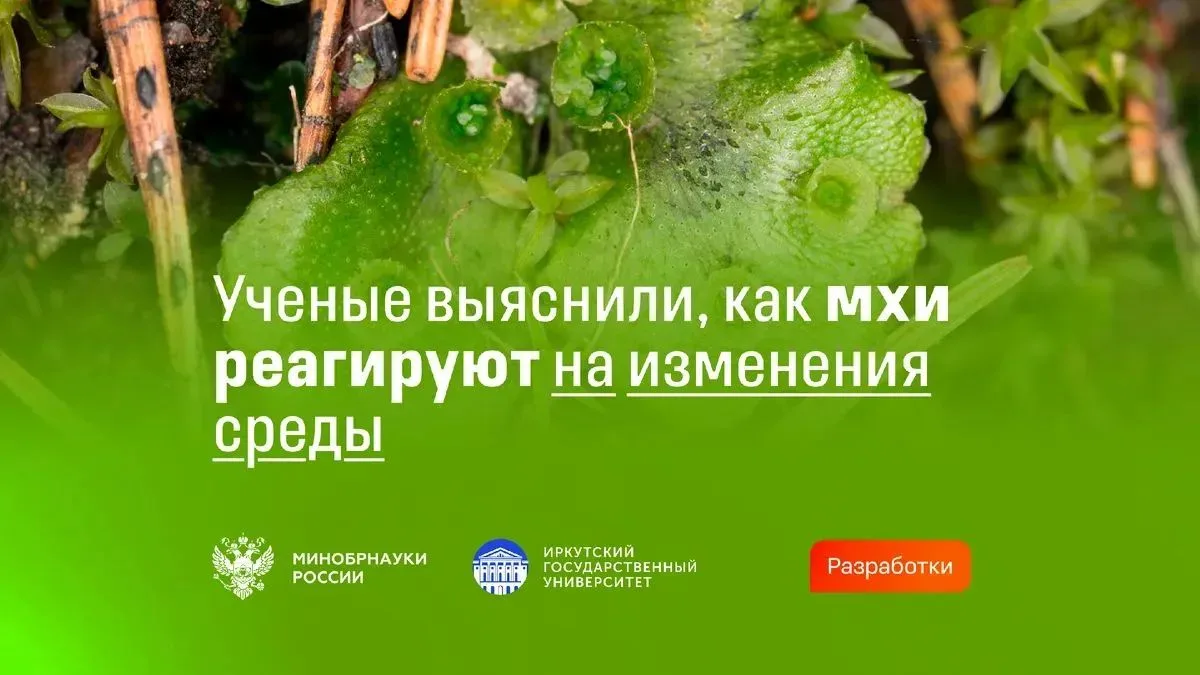 🧑‍🔬 Биологи изучили, как мхи реагируют на стресс