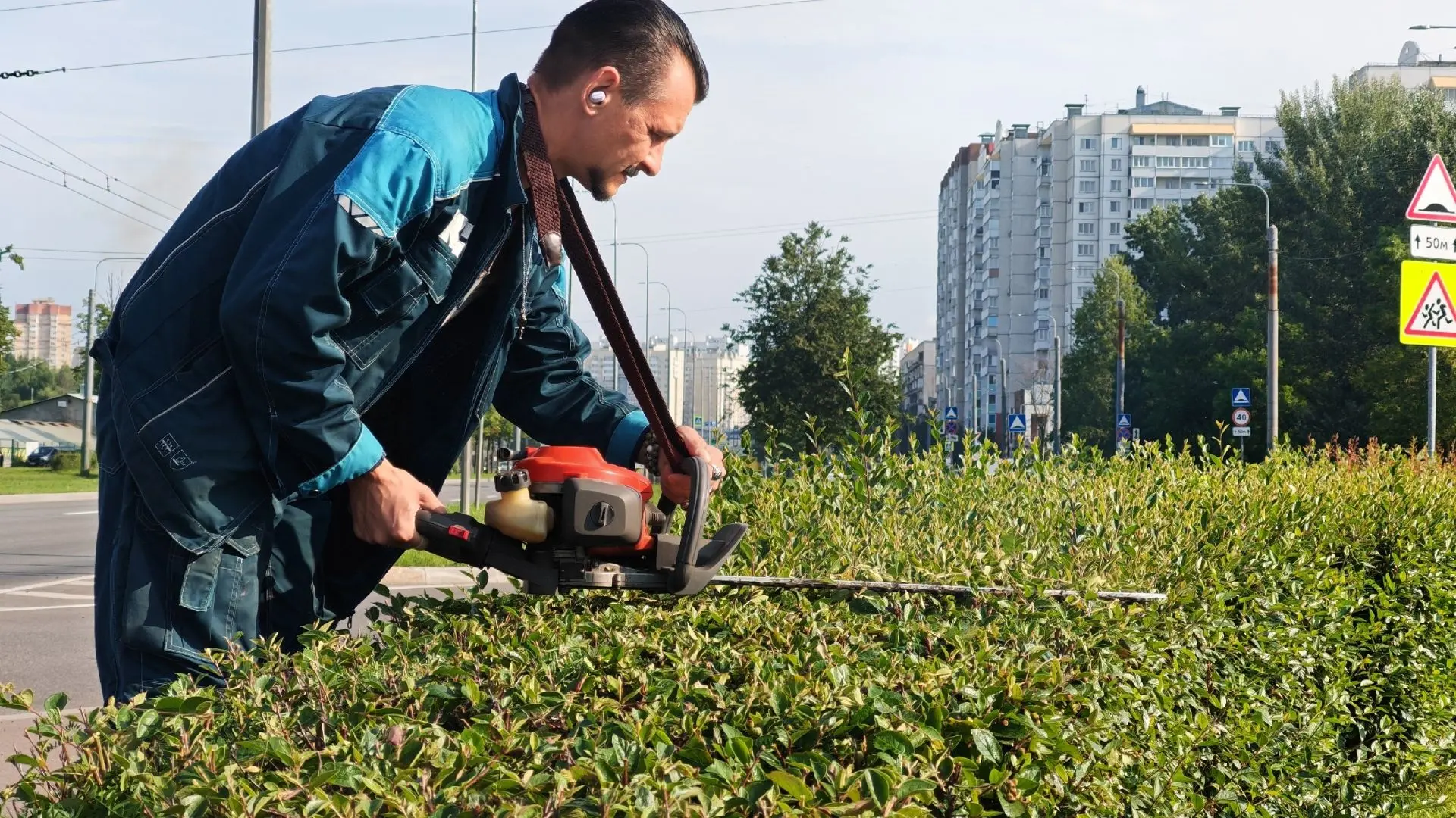 Стрижка живой изгороди необходима для создания плотной, аккуратной и функциональной зел...