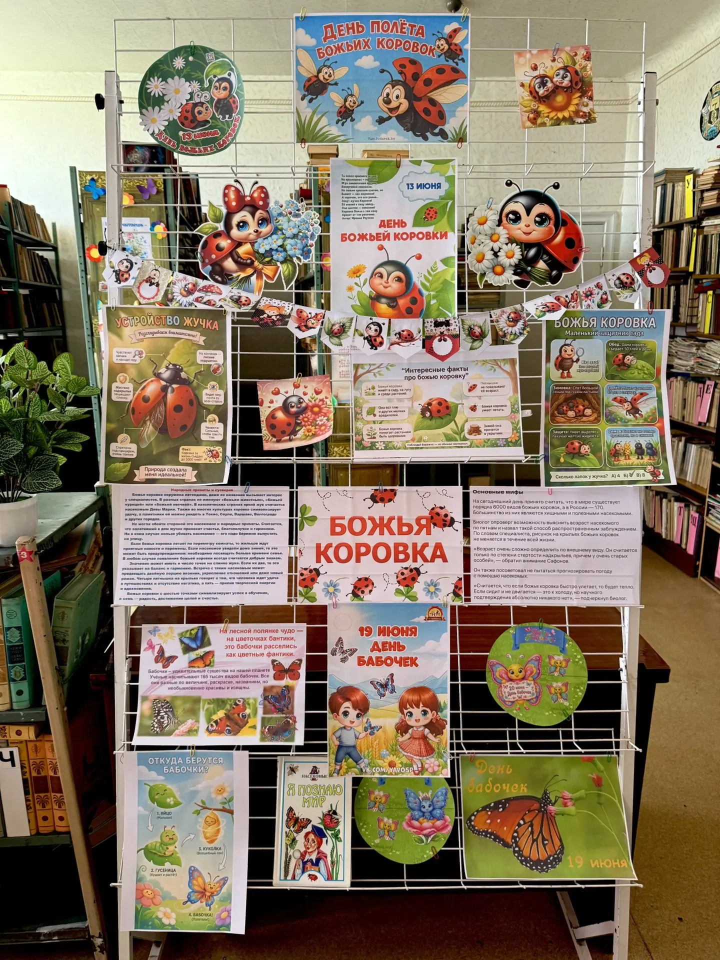 🐞День божьих коровок и День бабочек🦋 

🔸Сегодня на пришкольной площадке «Радуга» прошел тематичес