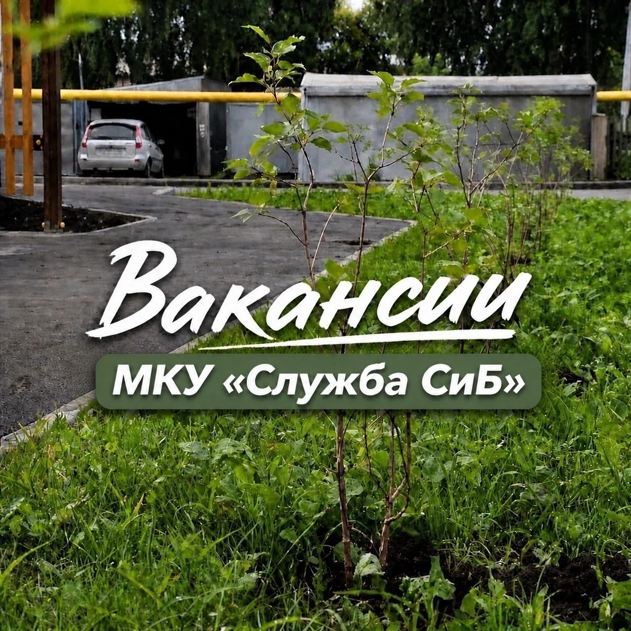 📍 В МКУ «Служба СиБ» требуются
