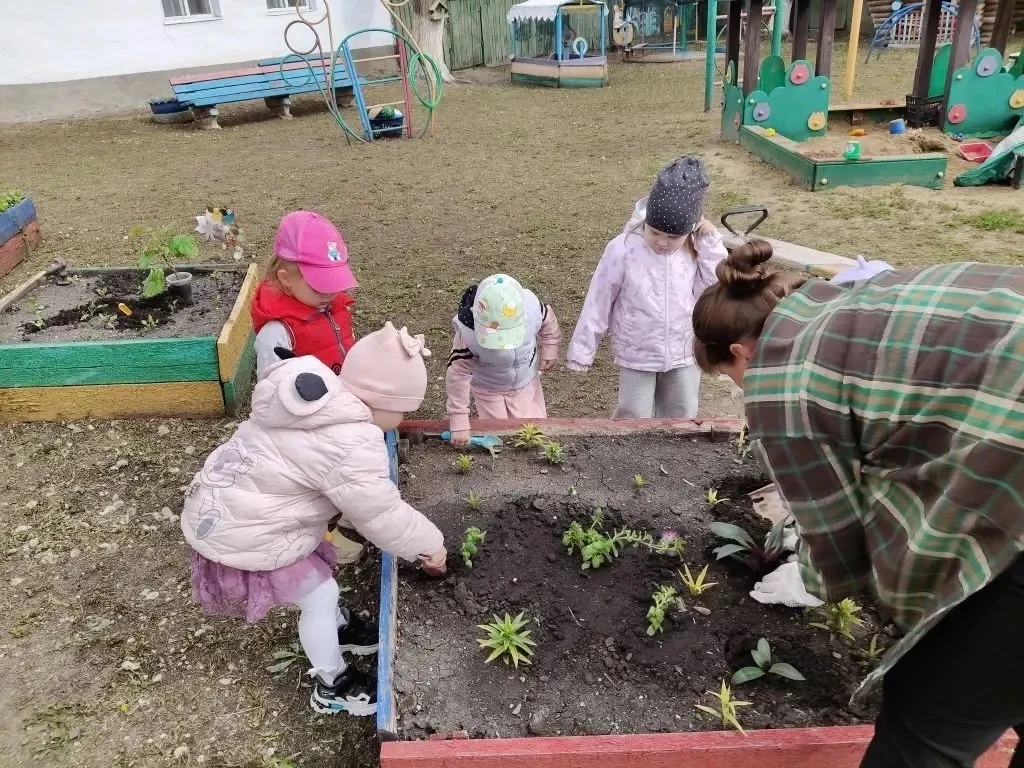 " Мы по садику гуляли, за природой наблюдали"
Цветы прекрасны в любое время года. Цветы не только кр