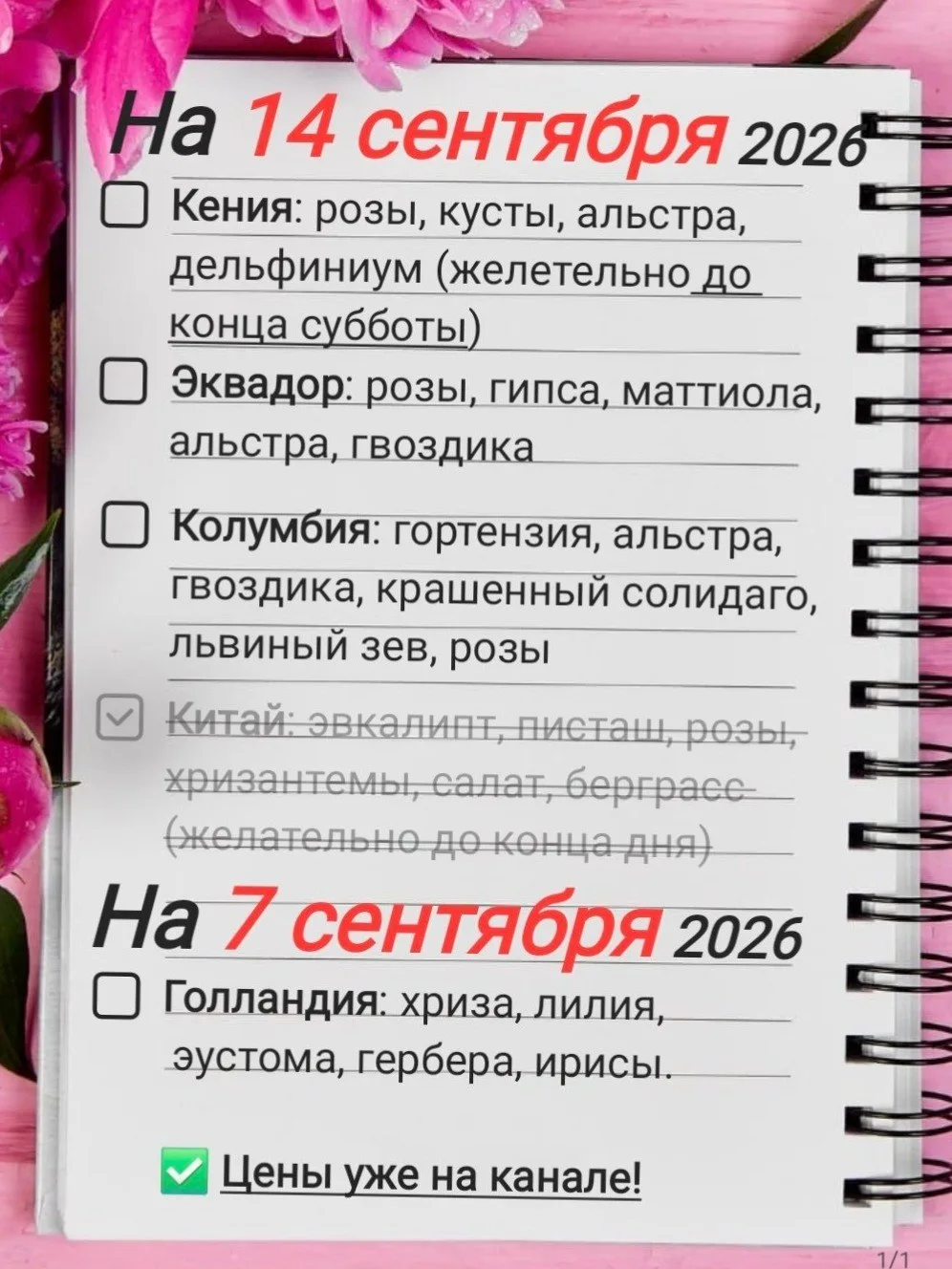 Сегодня принимаем предзаказы: