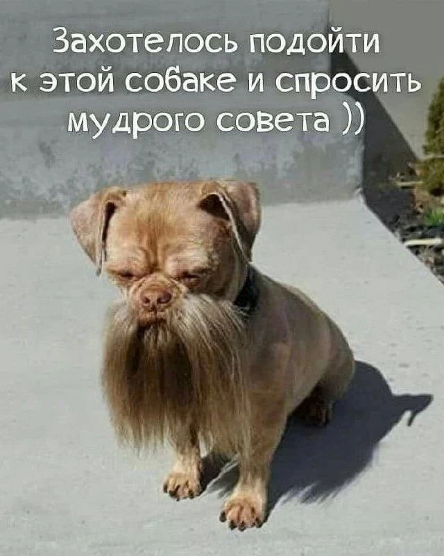 😎Православные тоже шутят - Позитивный канал, с доброй и душевной атмосферой.