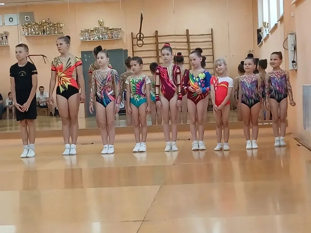Разенкова Варюша (2Б класс)  приняла участие в соревнованиях по спортивной аэробике «Дебют» и заняла