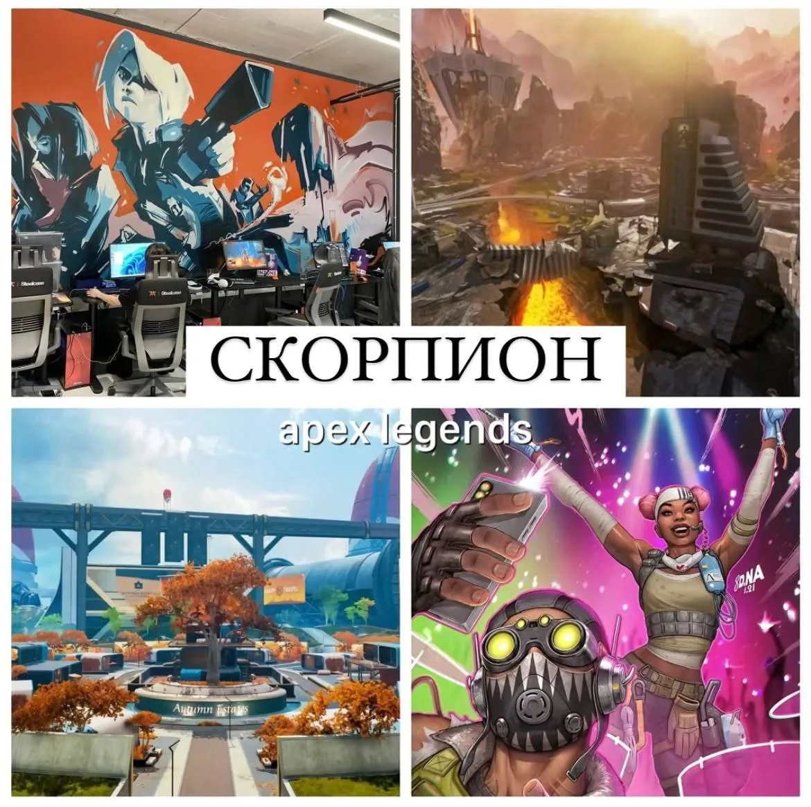 ⚡️ Знаки зодиака как игры
