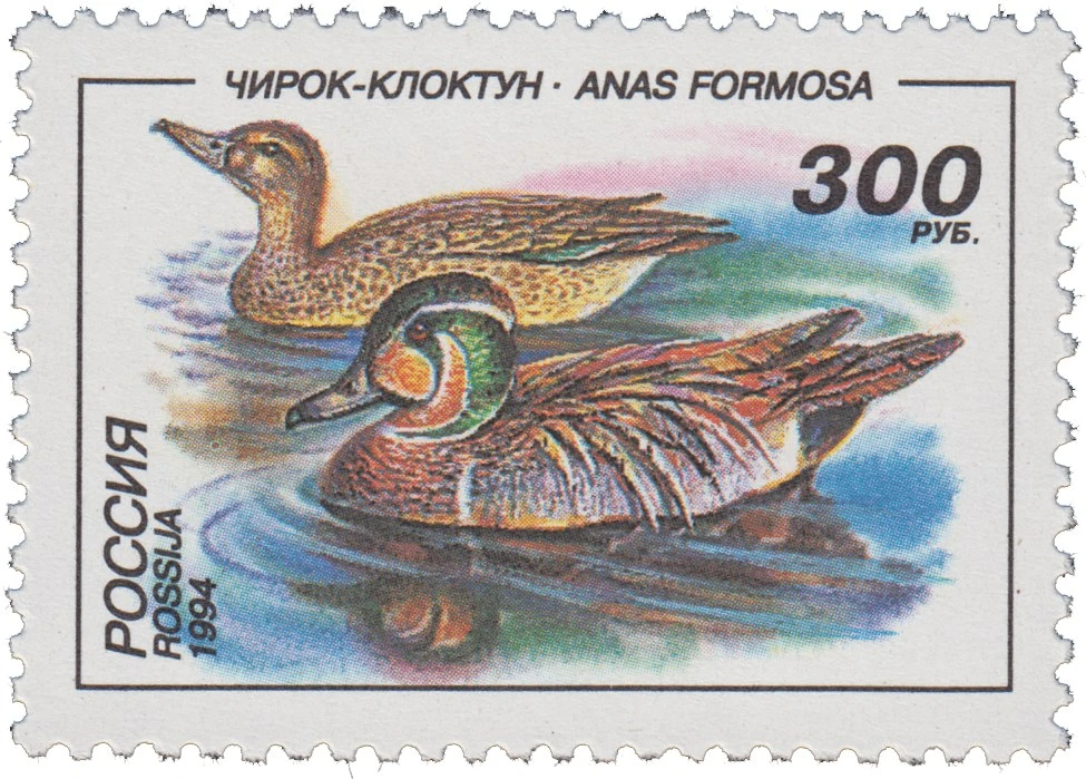 🦆 В конце августа — начале сентября в Приамурье проходит массовая миграция клоктунов
