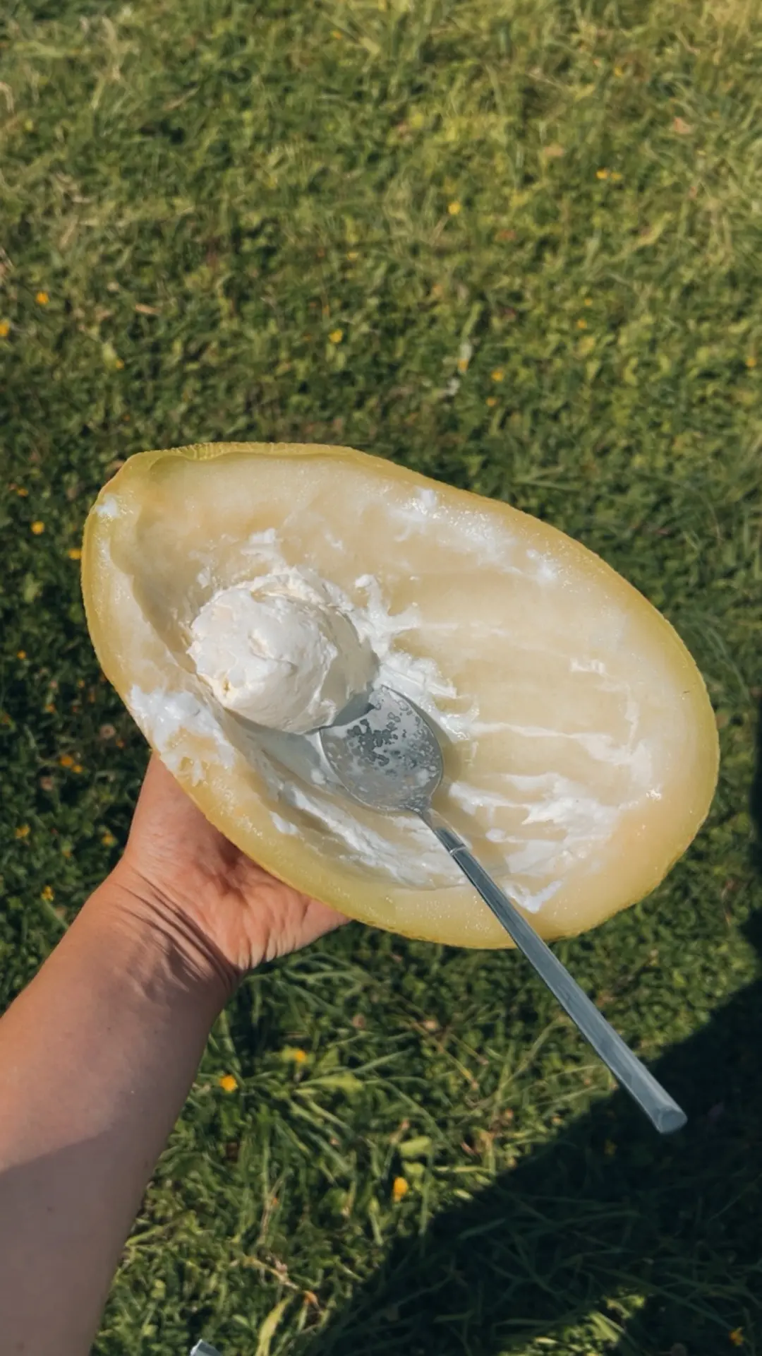 Открытие этого лета мороженое из дыни.