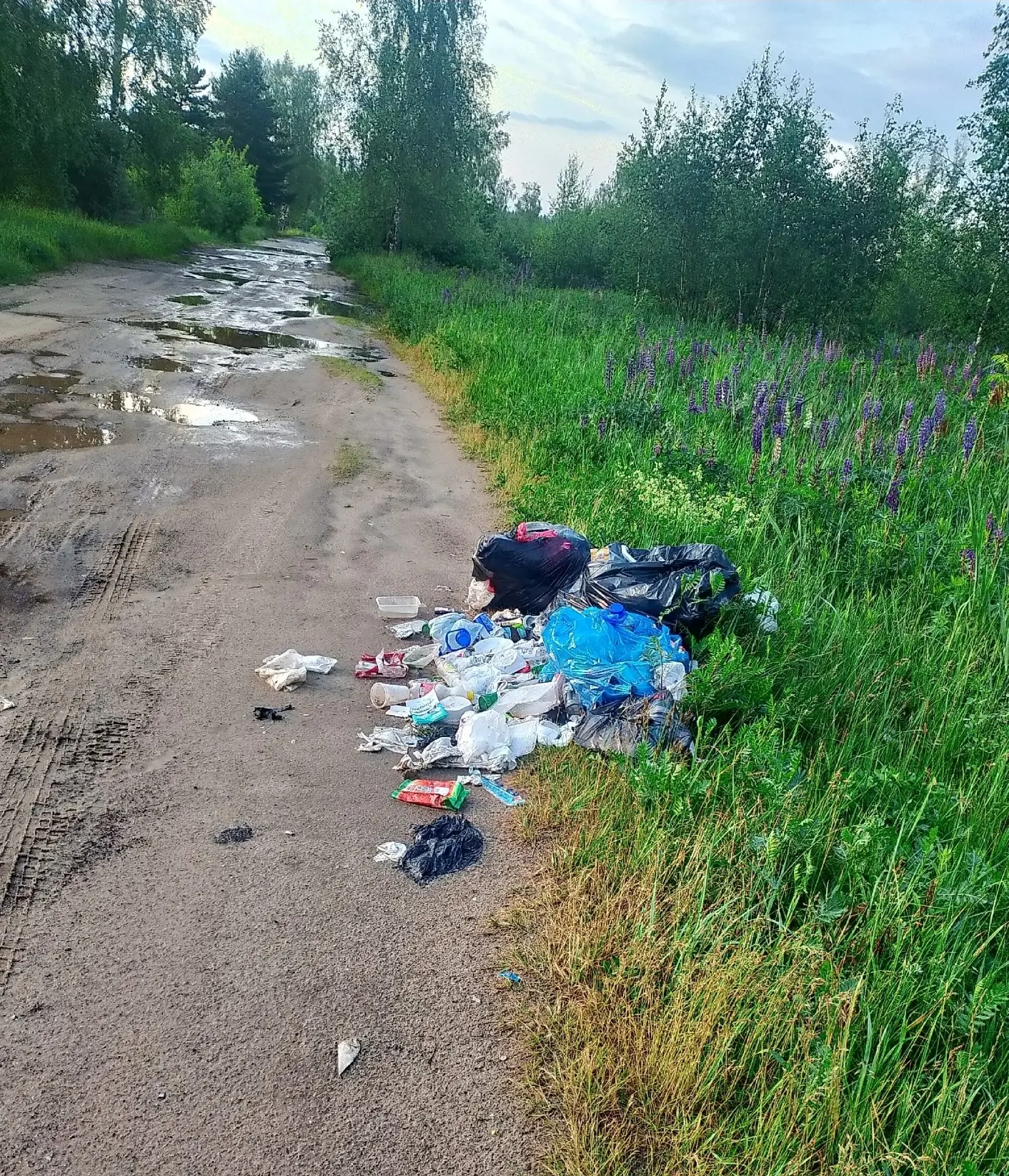 Уважаемые Монинцы и гости нашего чудесного озера в лесу, пожалуйста, не оставляйте после себя мусор,