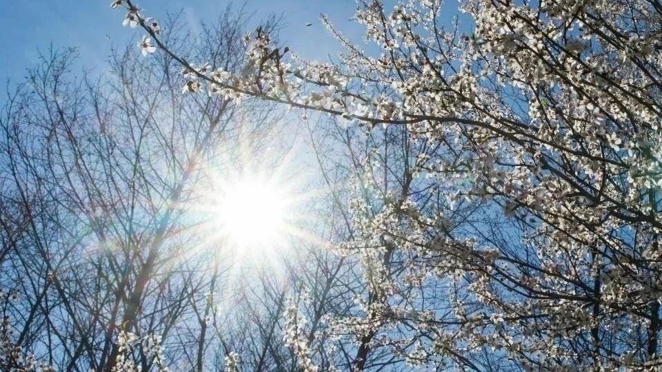 Доброе апрельское утро, земляки! Уже послезавтра в свои права вступит последний весенний месяц – май