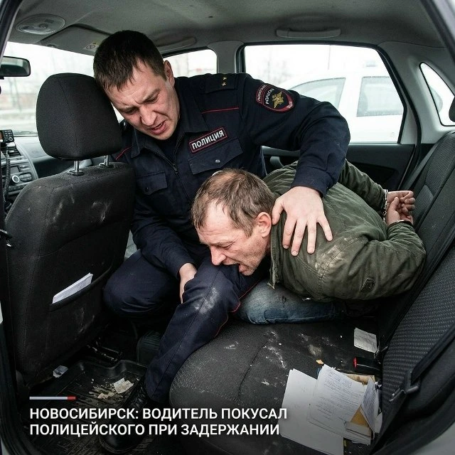 Житель Барабинского района осужден за нападение на сотрудника ДПС