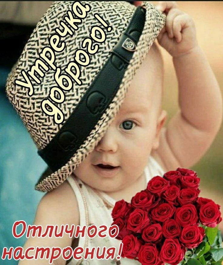 Доброе утро и замечательного дня! ☺️