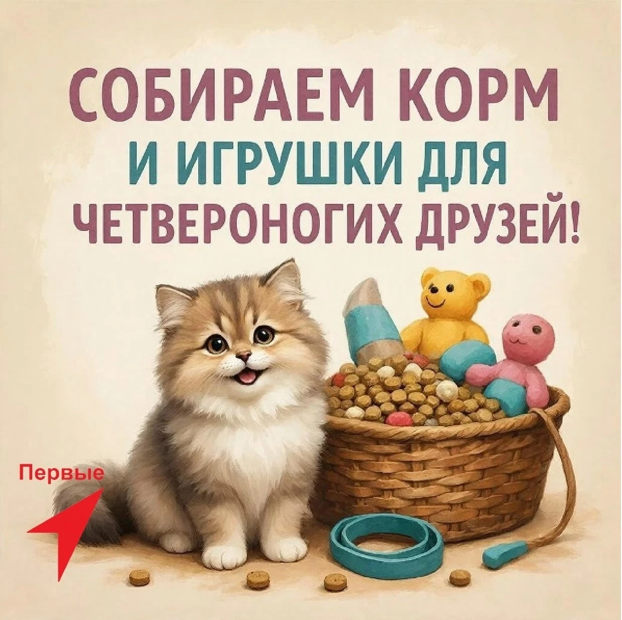 ✨ Важная Миссия: Корм для Приюта "Дорогино"! ✨