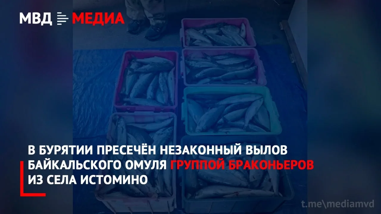 🎣 В Бурятии накрыли группу браконьеров, незаконно ловивших байкальского омуля

В селе Истомино 52-л