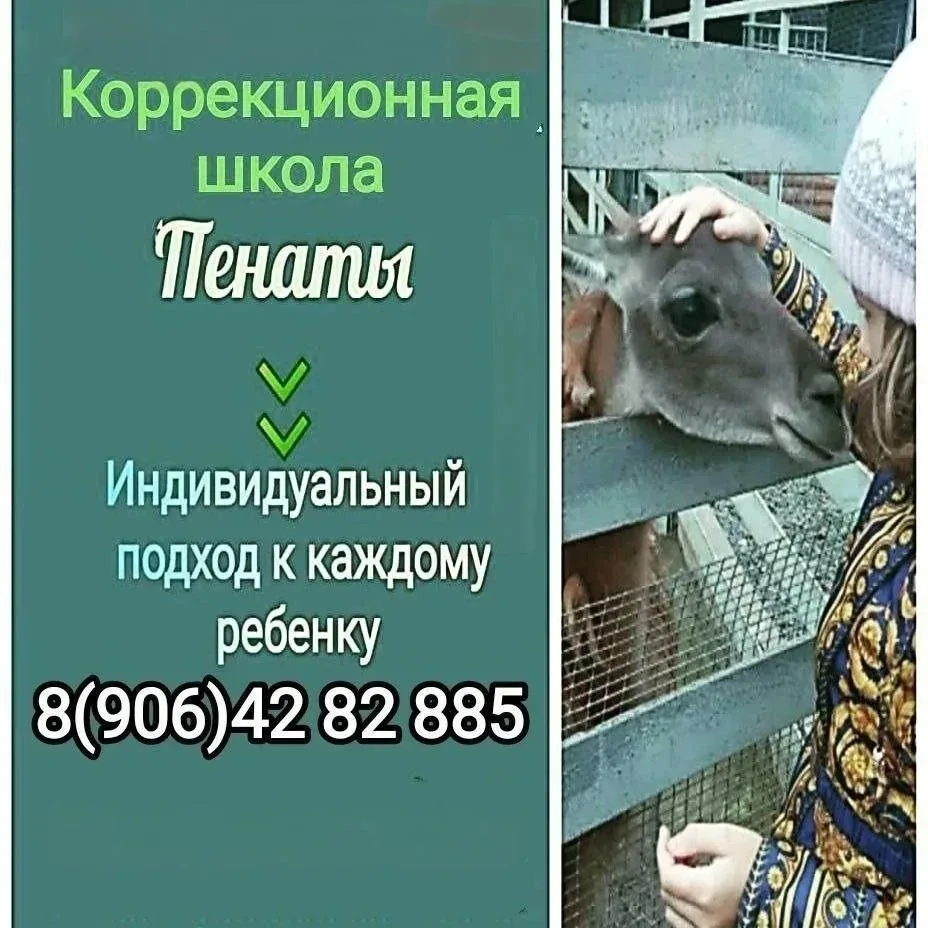 ❓Где учиться детям с особыми образовательными потребностями в Ростовской области: кратк...