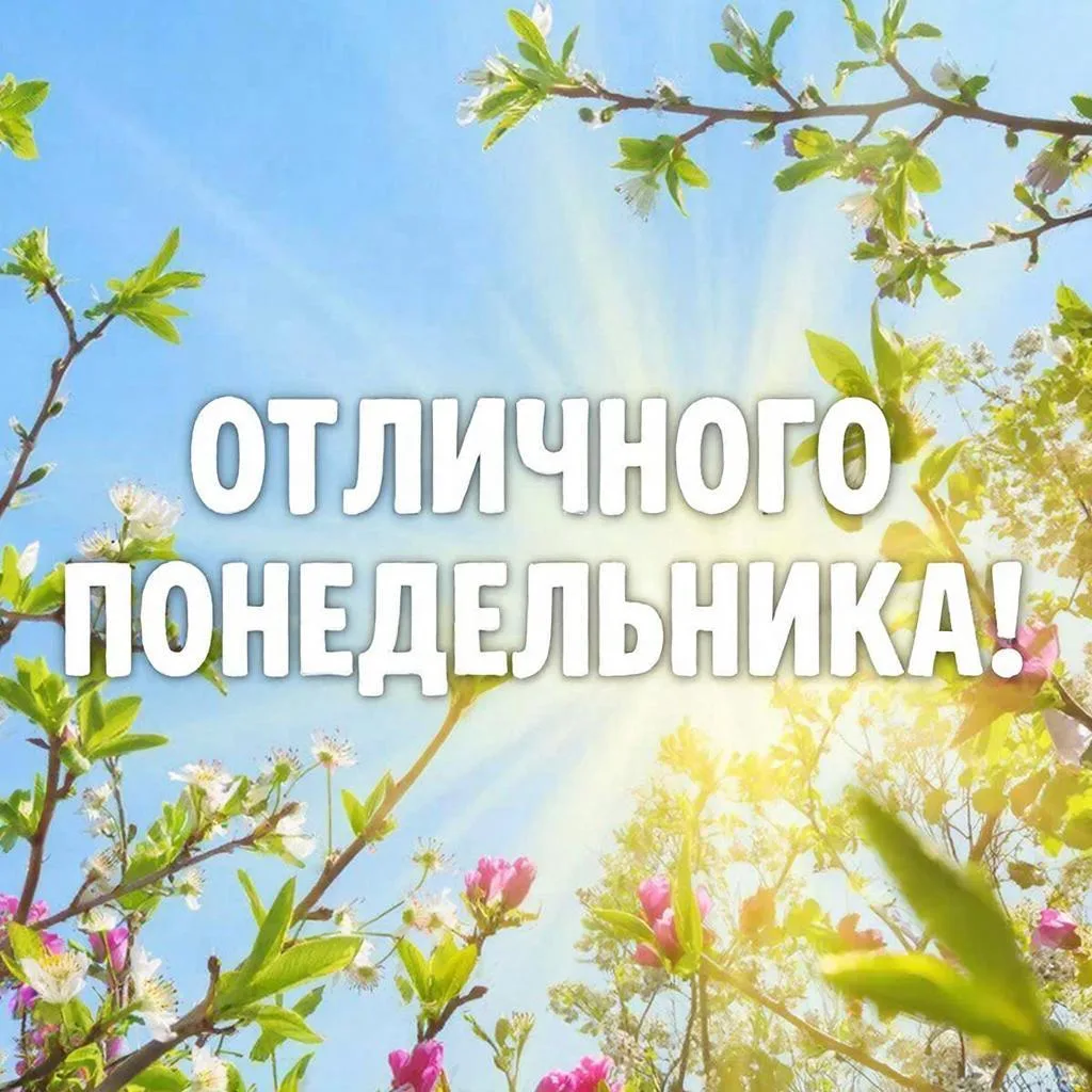 ✨Начало недели — это новые возможности и свежий старт.  ✅Пусть даже понедельник станет днём, когда в