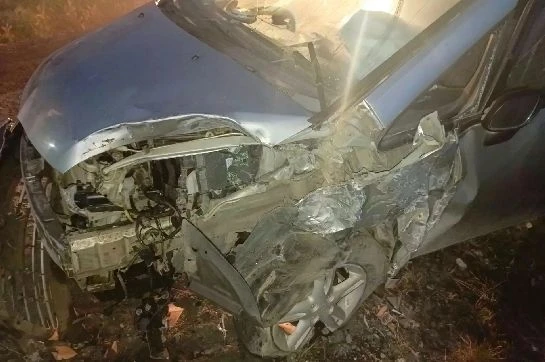 В Приамурье пьяная женщина уснула за рулем и устроила ДТП. В аварии пострадала она и ее...