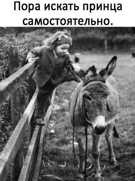 Смешно?😃 Жми лайк, пока не забыл. А подписка — чтобы не потерять того, кто поднимает тебе настроени