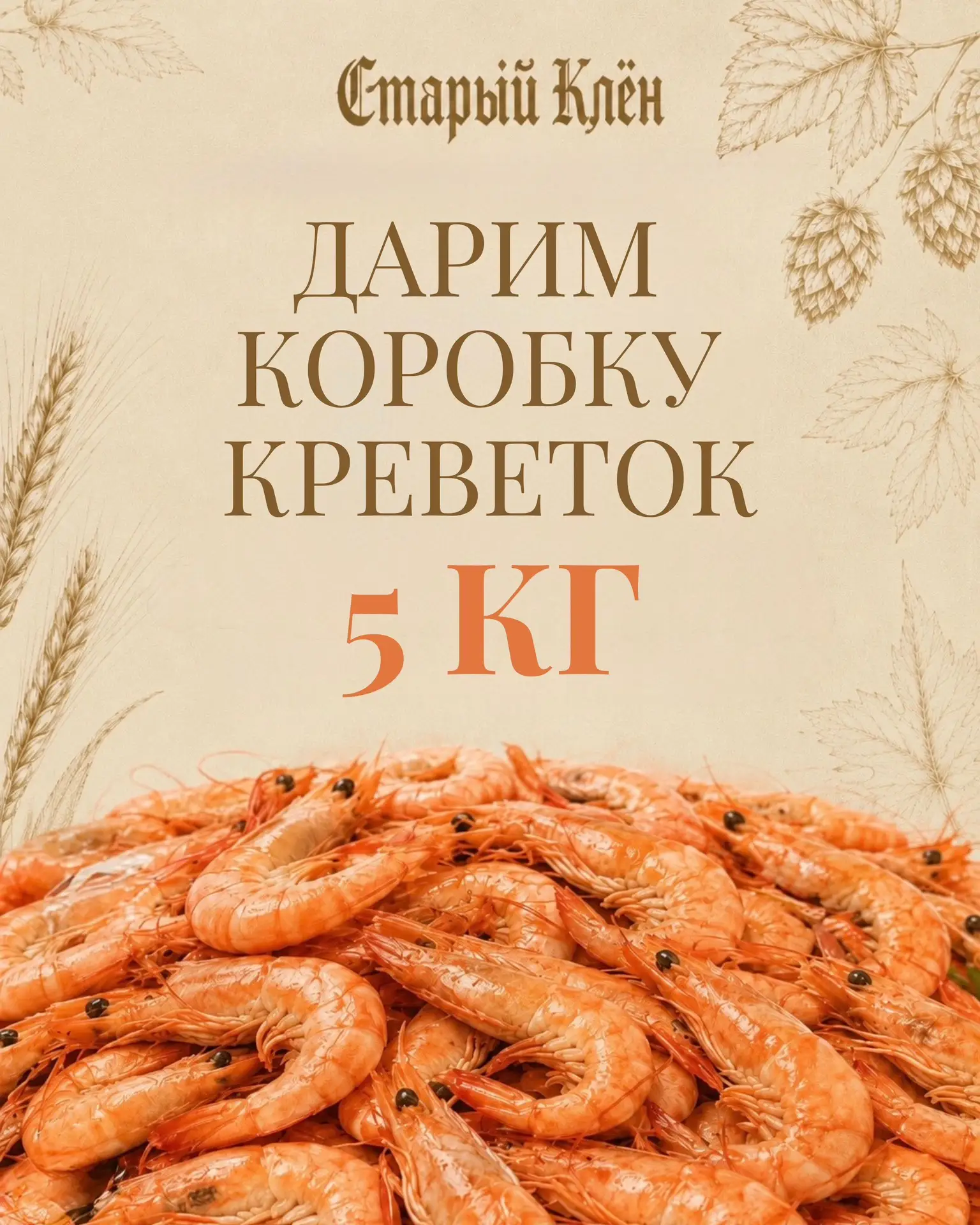 🦐 ОГРОМНАЯ КОРОБКА КРЕВЕТОК МОЖЕТ СТАТЬ ВАШЕЙ!