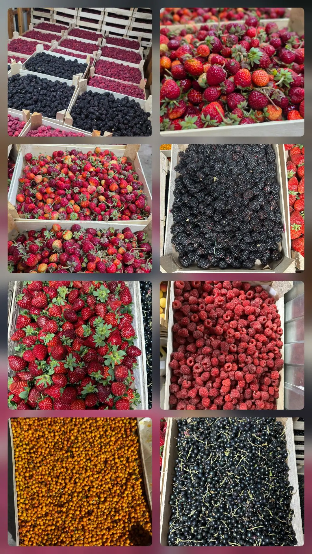 🔥🍓 ТЫНДА