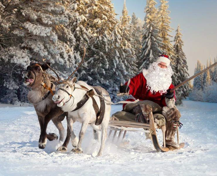 🎄НОВОГОДНИЕ ТУРЫ В КАРЕЛИЮ 🎅