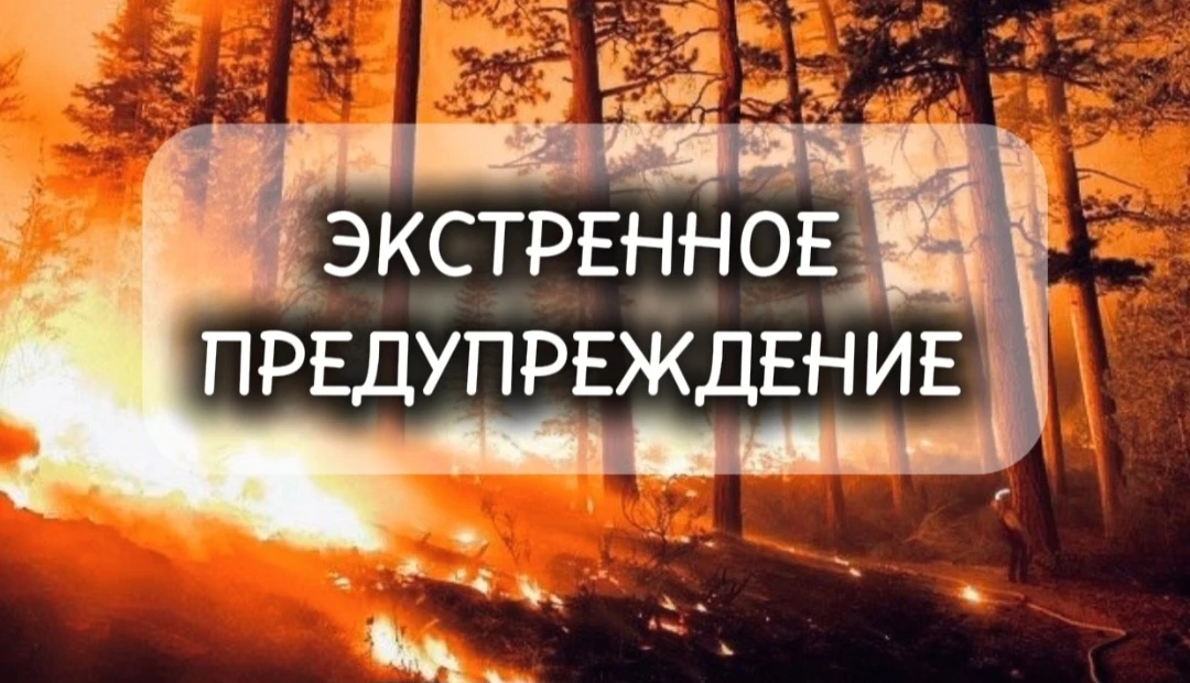 🚨 ЭКСТРЕННОЕ ПРЕДУПРЕЖДЕНИЕ