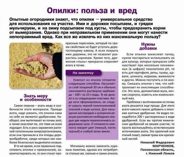 Опилки: польза и вред

Разные отходы производства часто применяются в домашнем хозяйстве. Они могут 