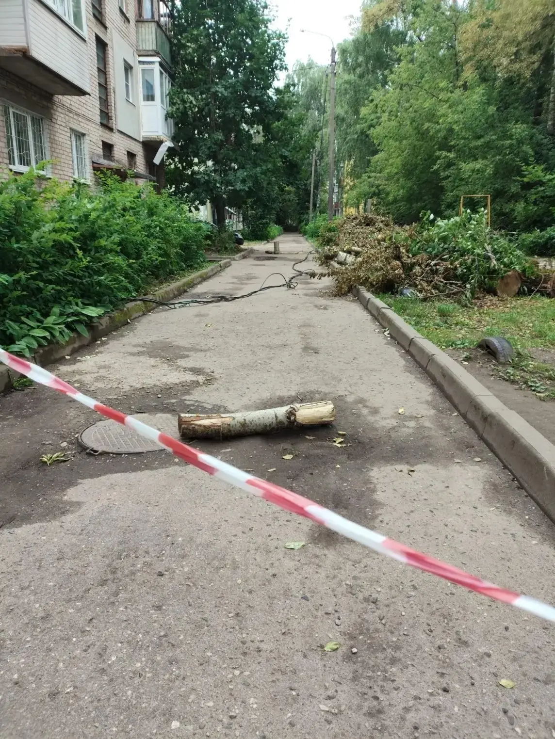 В Костроме дерево упало на дом и оборвало провода после непогоды