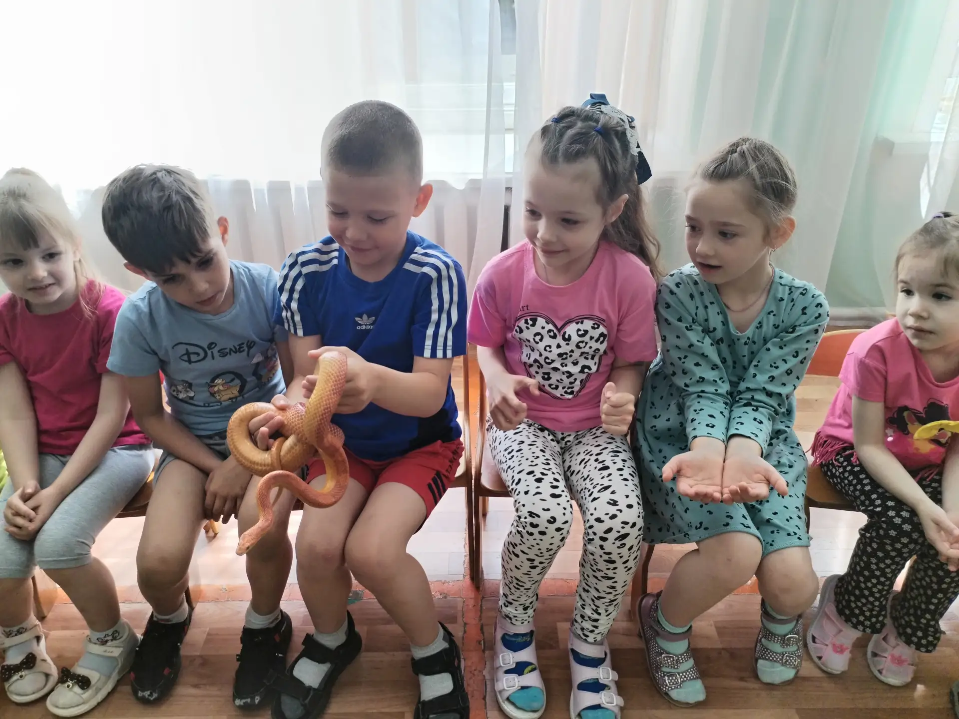 1 июня в нашем детском саду прошла выставка змей!