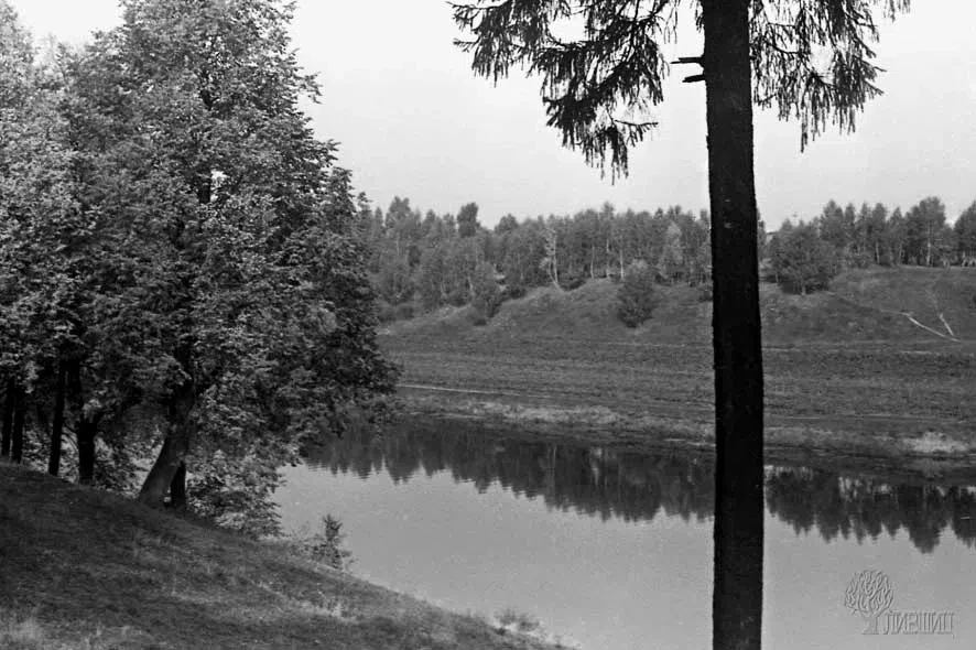 🌳 Река Пахра у Ивановского имения. - 📆 1976 г. 

📸 Фото Давида Лившица