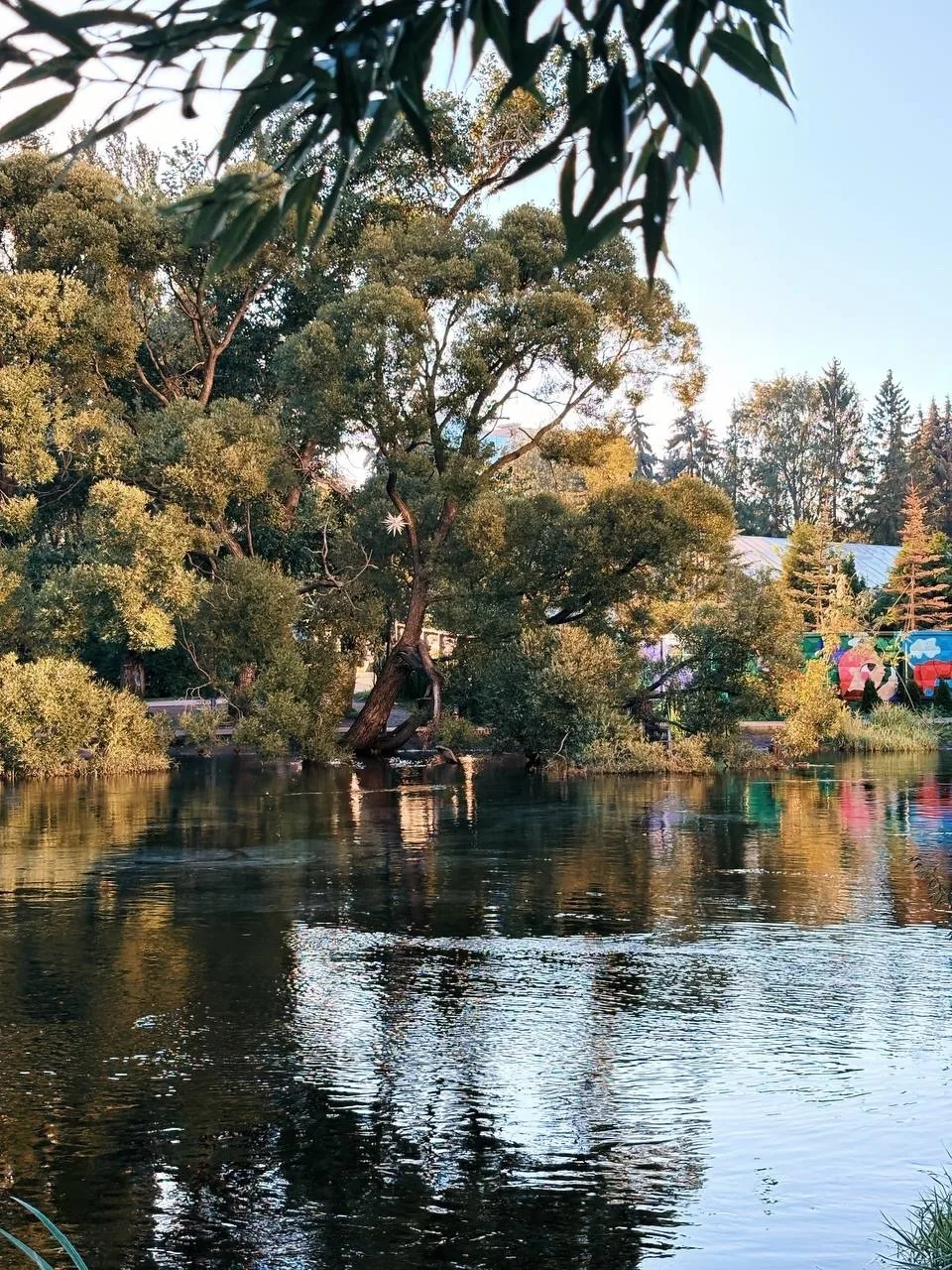 Прогулка по Екатеринбургу.

📍 Екатеринбург
👉 Подписаться
🔥 Екатеринбург ЧП