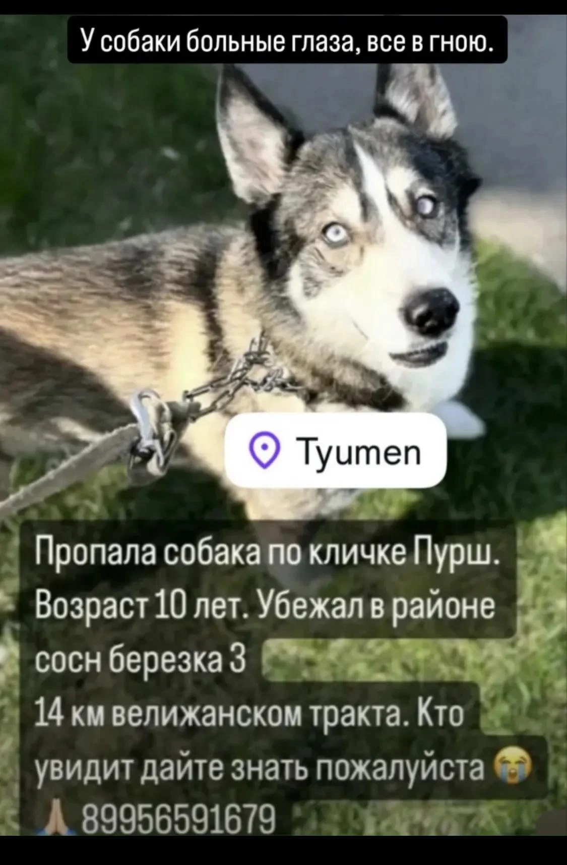 _______________________