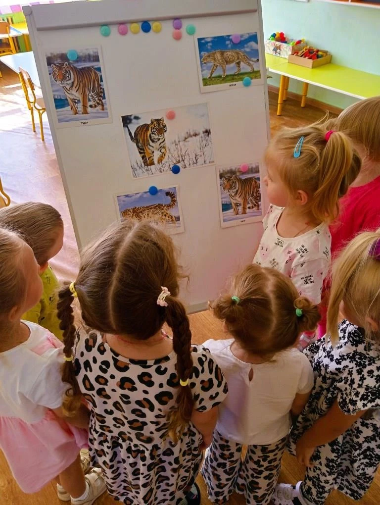 🐾 В Международный день тигра знакомим дошкольников с удивительным миром этих красивых и сильных жив